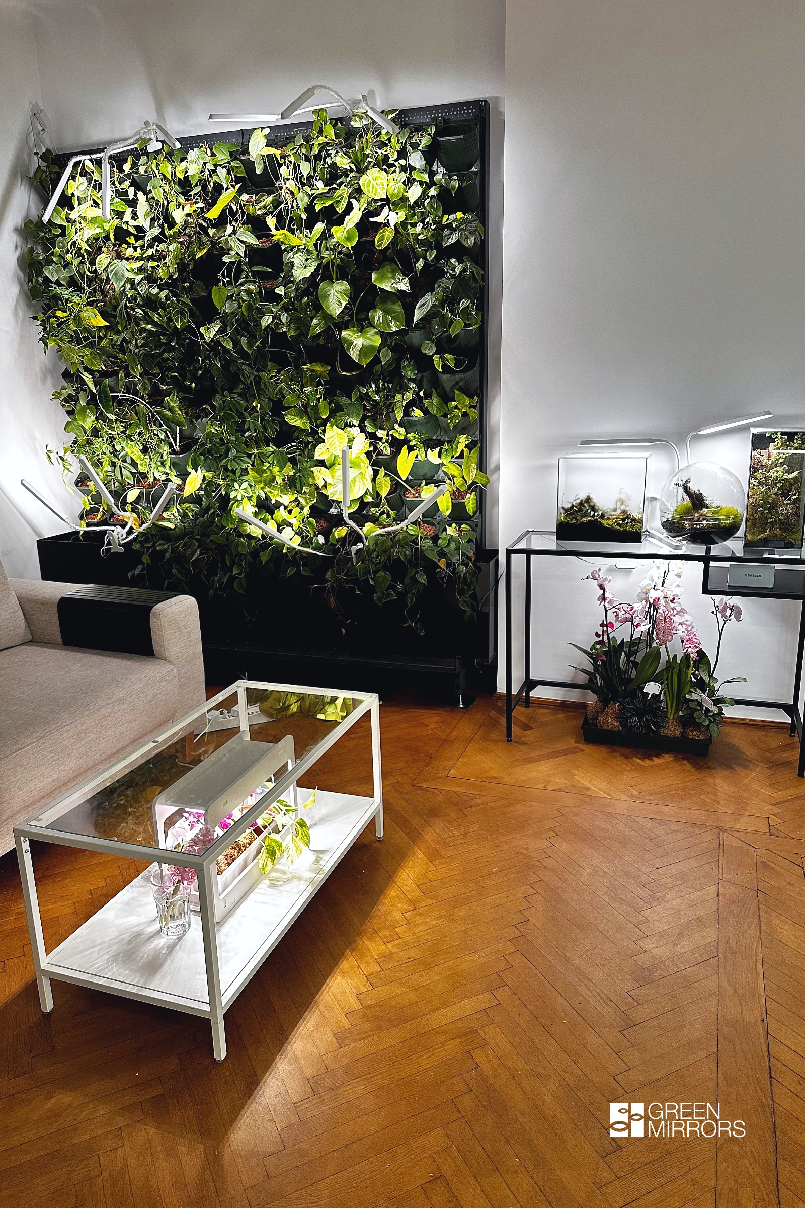 spatiu interior cu plante amenajat de green mirrors
