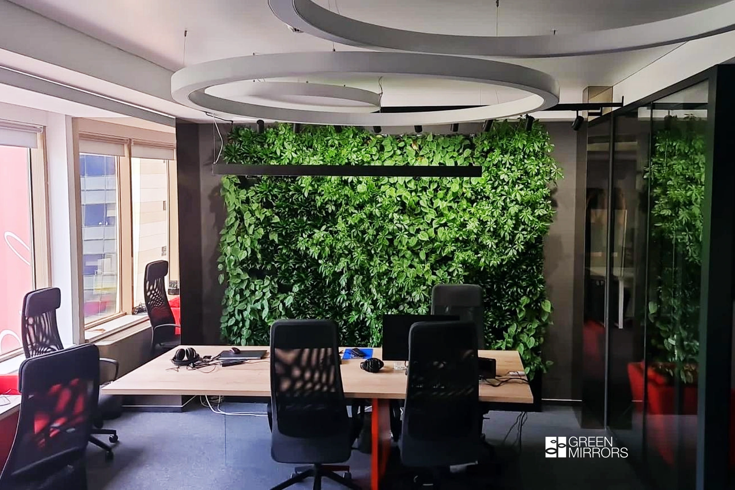 radio europa libera, perete verde birou interior Green Mirrors
