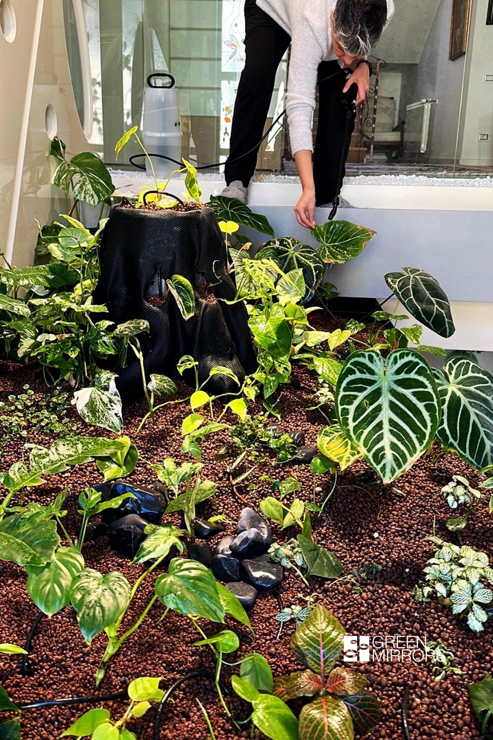 gradina interioara automatizata rezidential