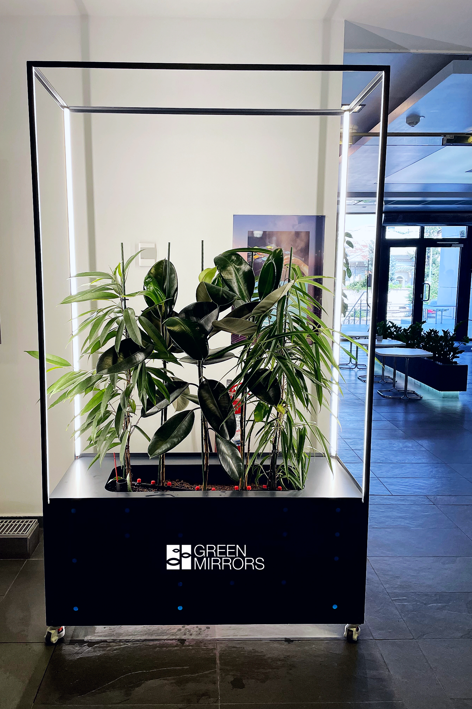 perete verde mobil green mirrors