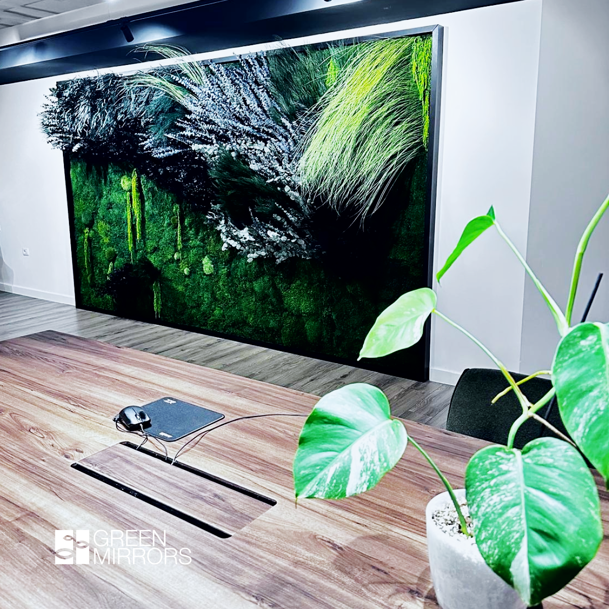 perete verde plante stabilizate office egv