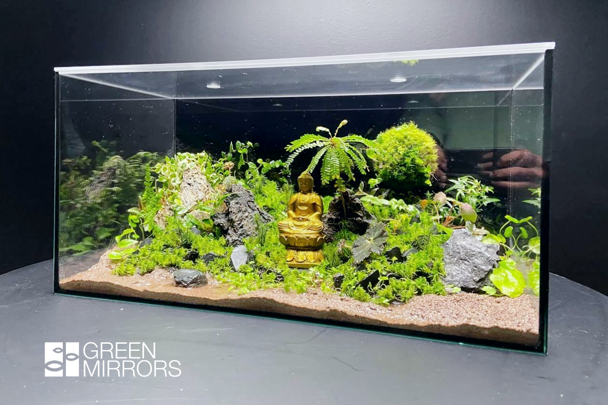 terariu custom green mirrors