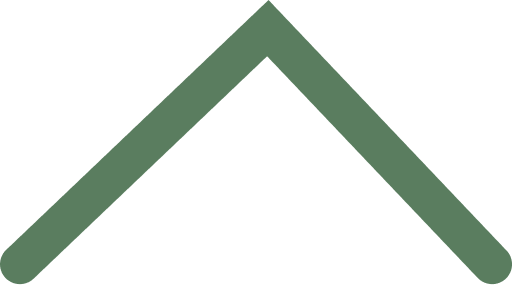 Green upward pointing chevron arrow icon.