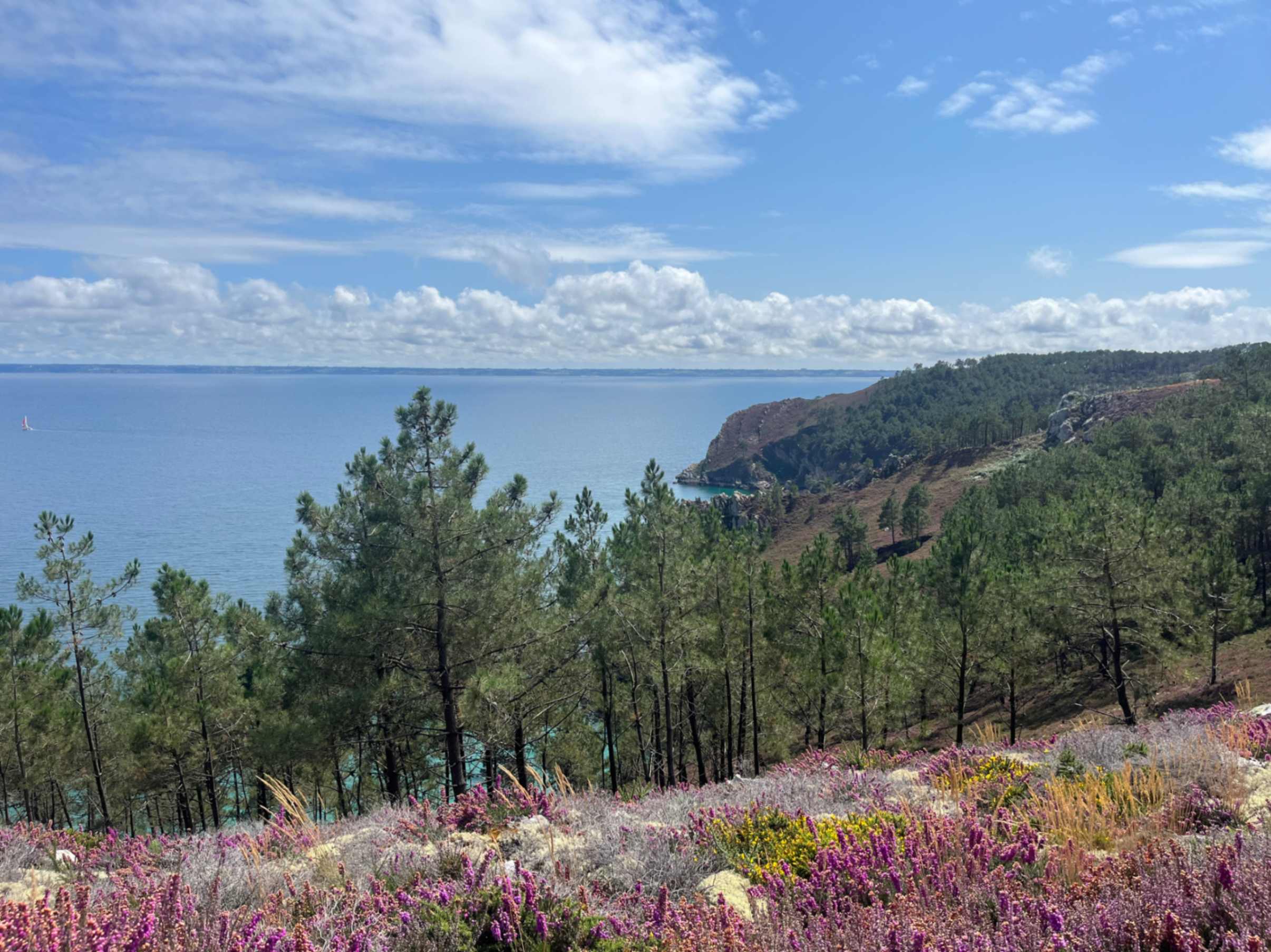 Brittany landscape