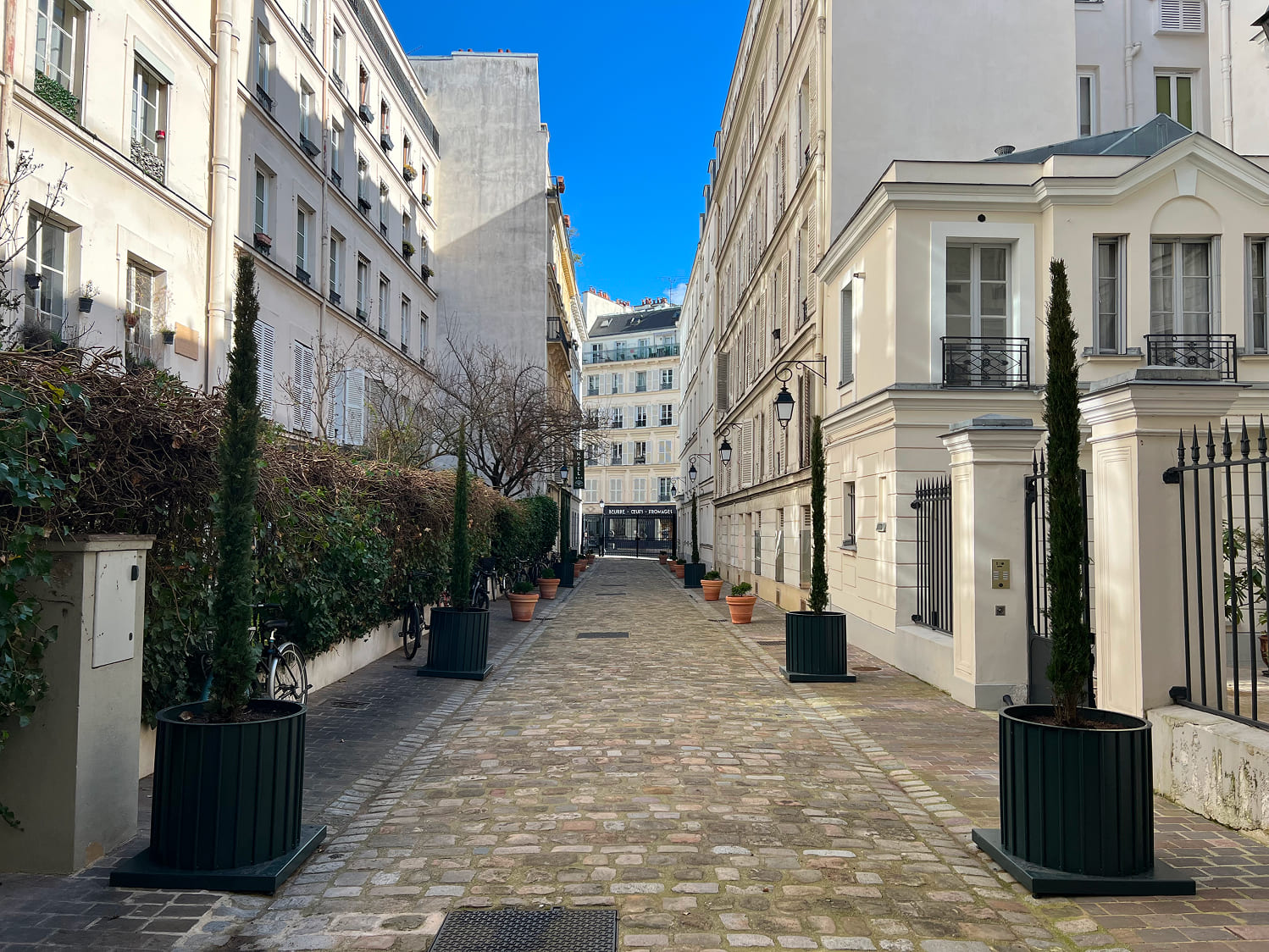 Végétalisation Pigalle