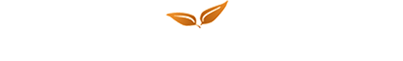 The text “PeachVote.com” in bold white font, with a small peach icon above the “O” in a purple background.