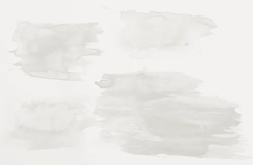 Light gray watercolor brush strokes on a white background.