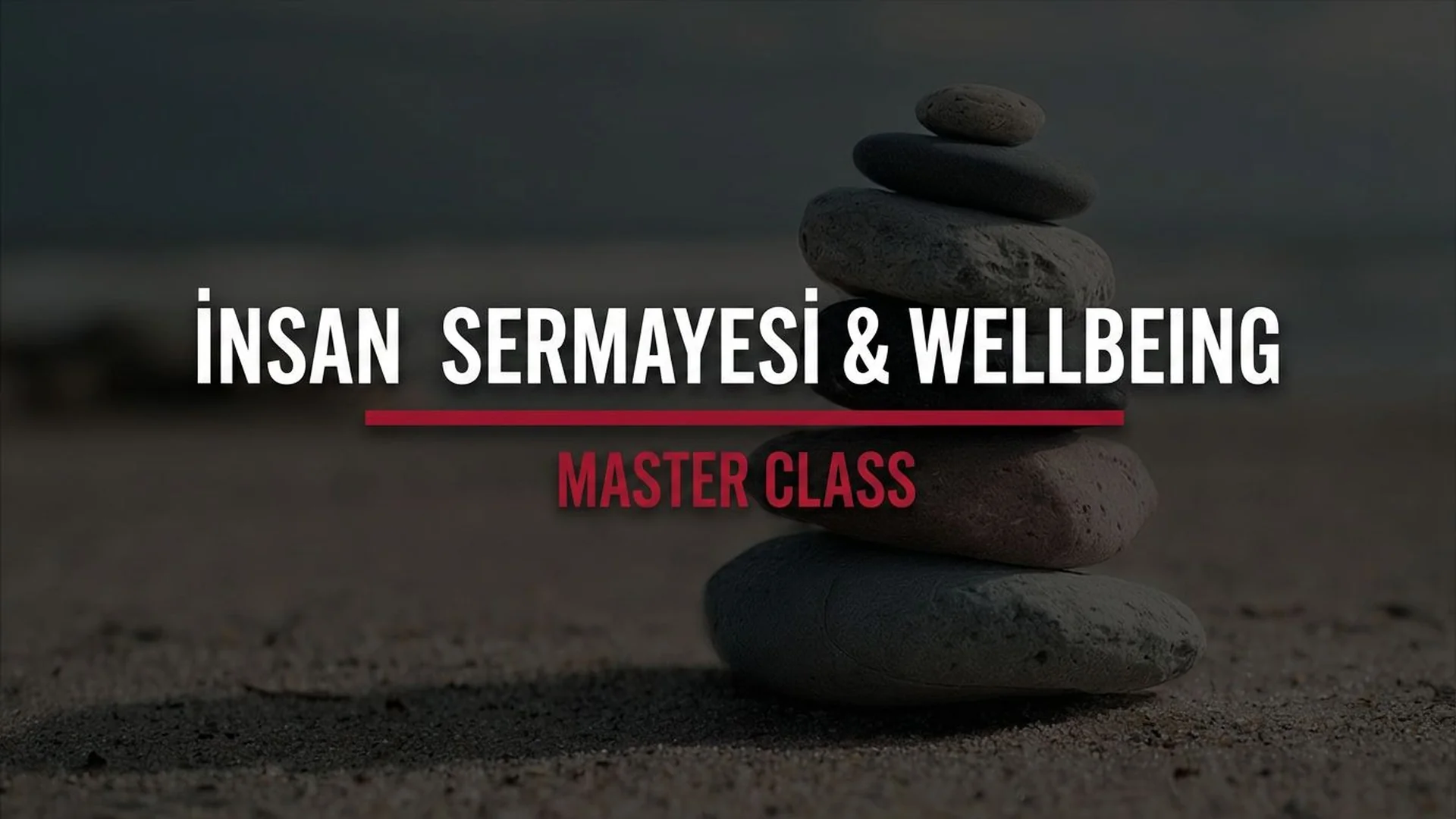 Toplantı masasında oturanları güler yüzle dinleyen, ayakta duran kadın konuşuyor.