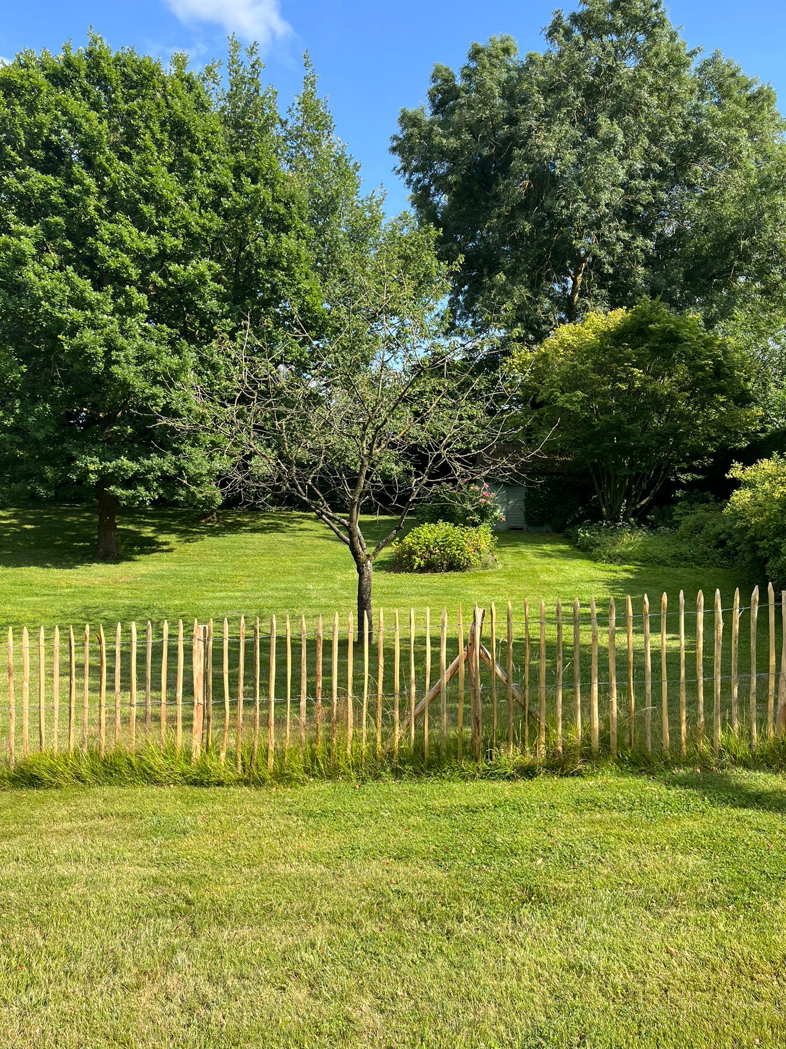 Clôture en châtaignier : guide complet 2026 (prix, durée de vie, installation en Belgique)