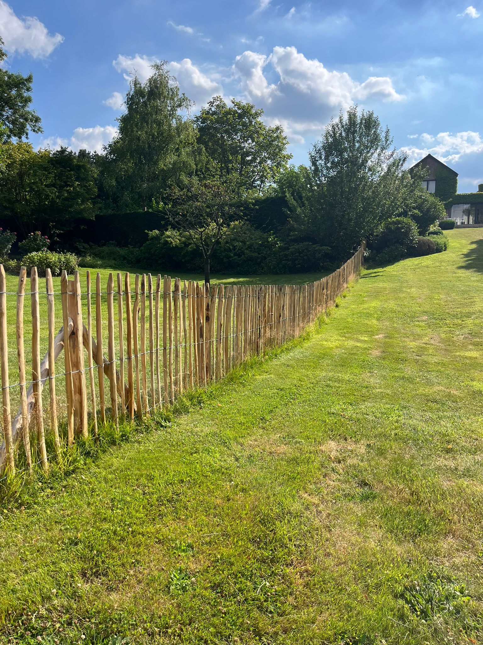 Châtaignier vs autres bois de clôture : comparatif complet (pin, sapin, exotique, PVC)