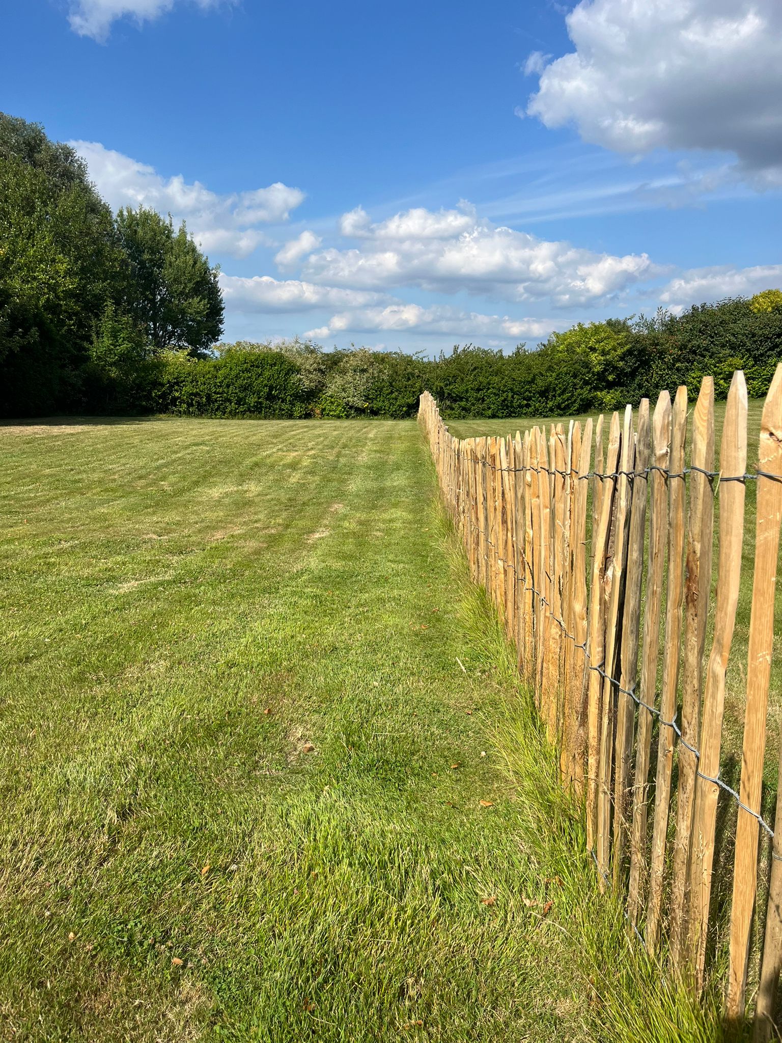 Clôture en châtaignier en Belgique : 10 idées d'utilisation pour votre jardin