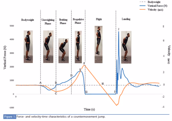 Graph showing the movements throughout a force plate reading.
