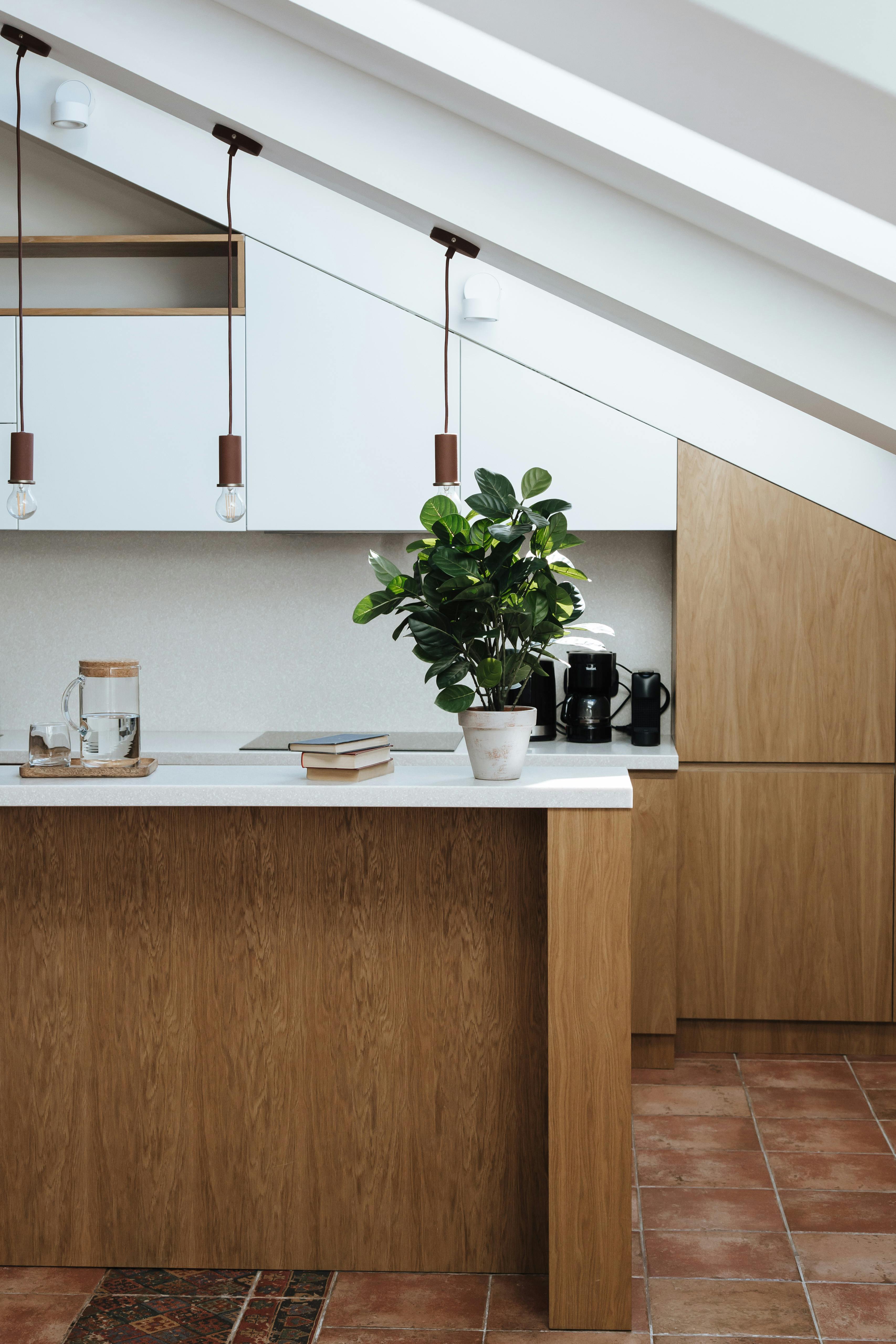 Design & Build