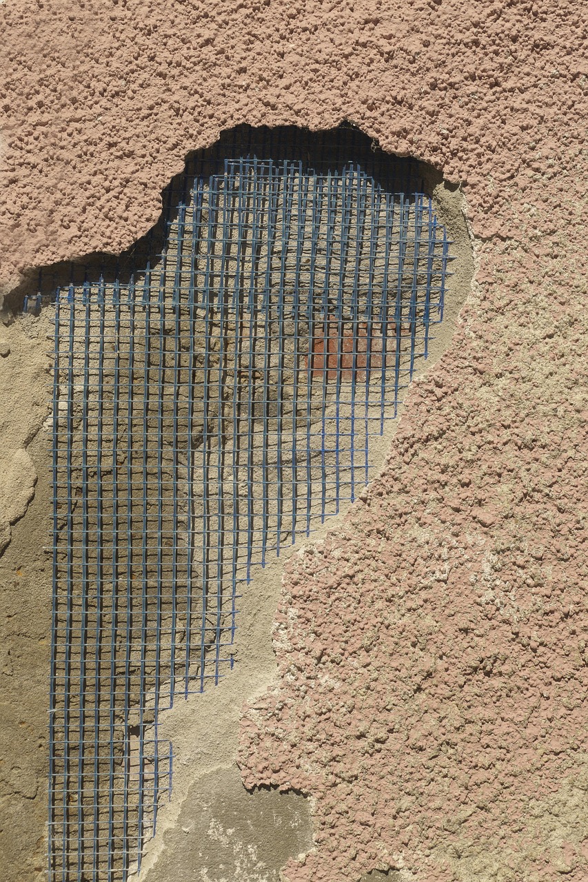 Structural Rehabilitation