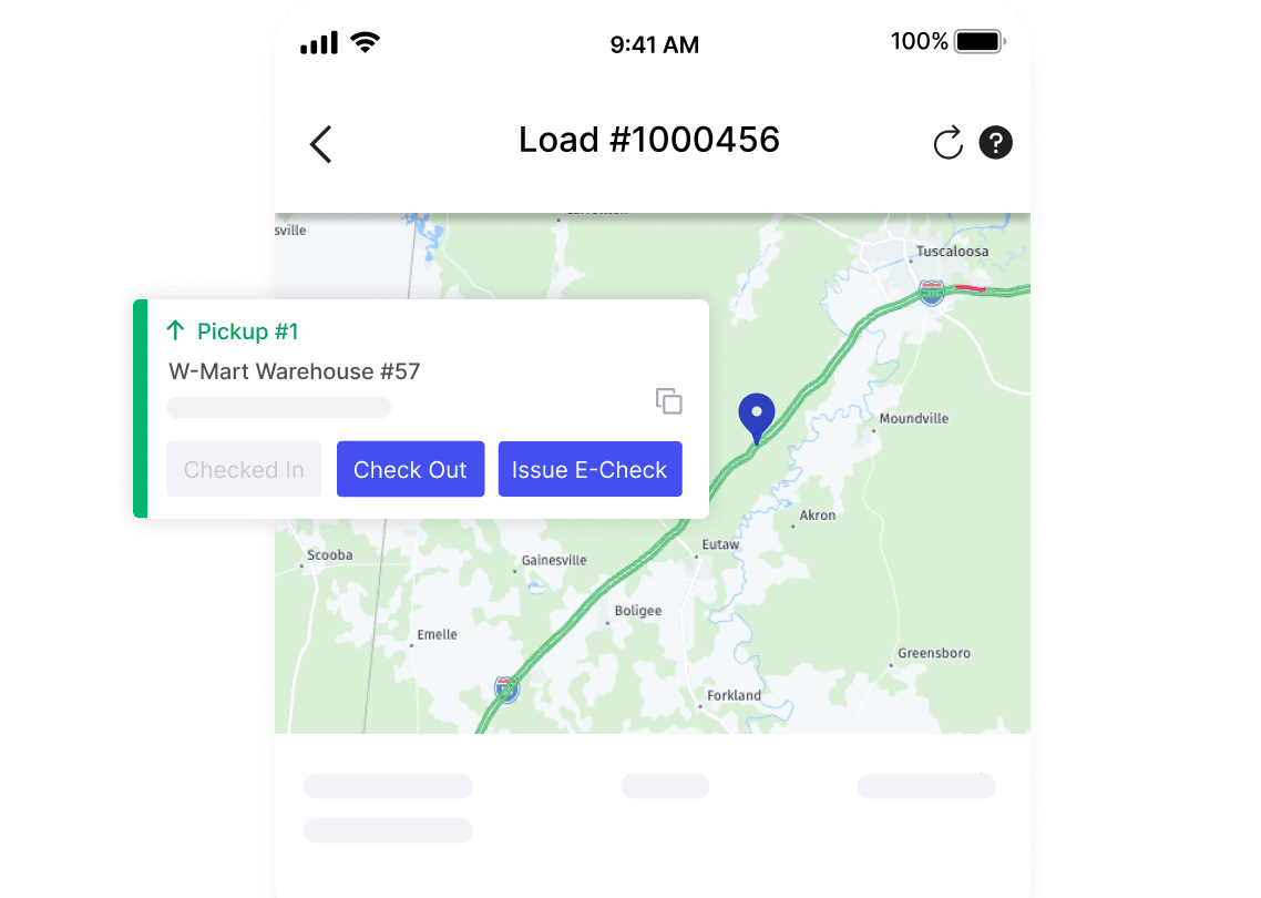issue automated e-checks