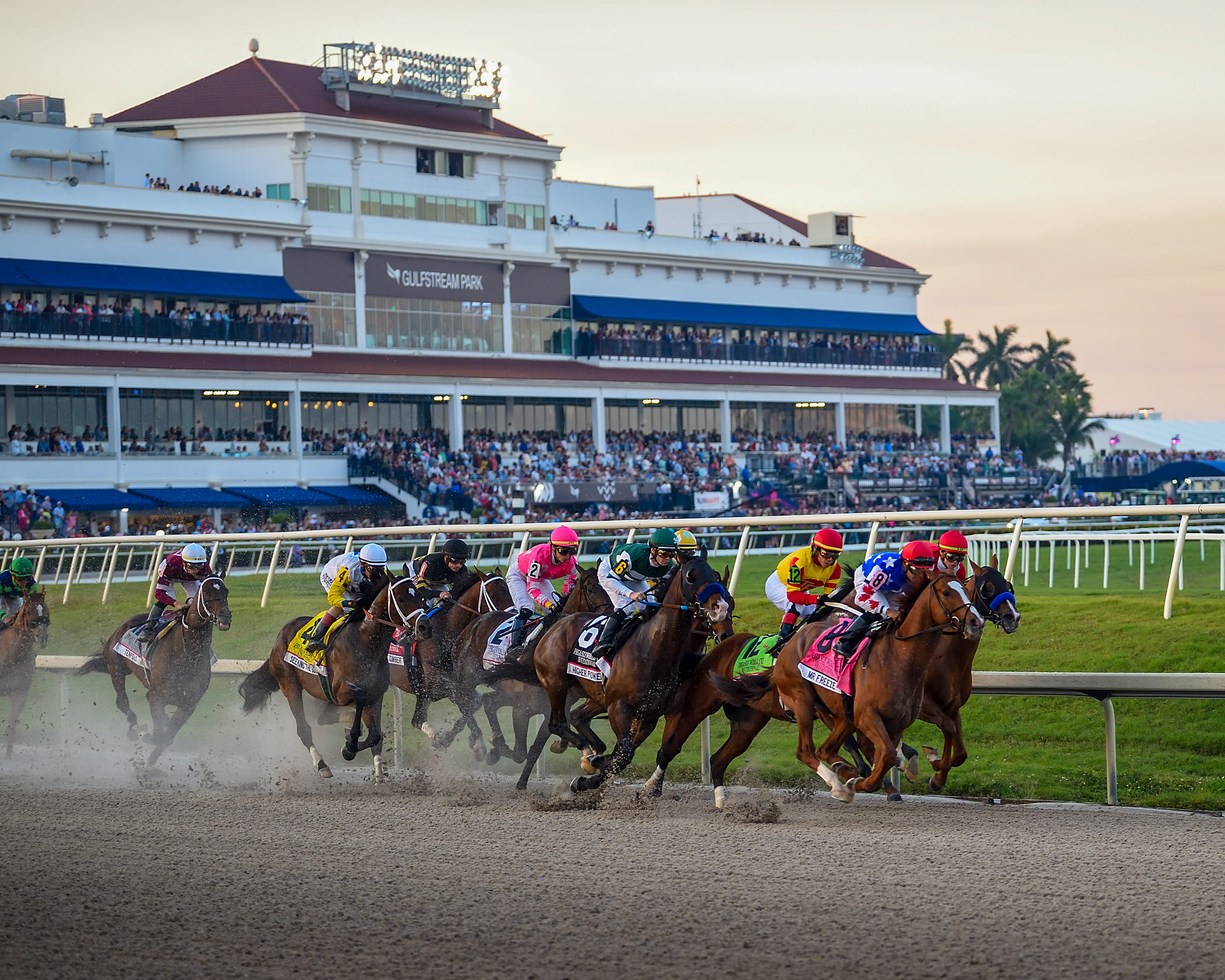 A horse race is taking place in front of the grandstand at Gulfstream Park in Hallandale Beach, Florida. 