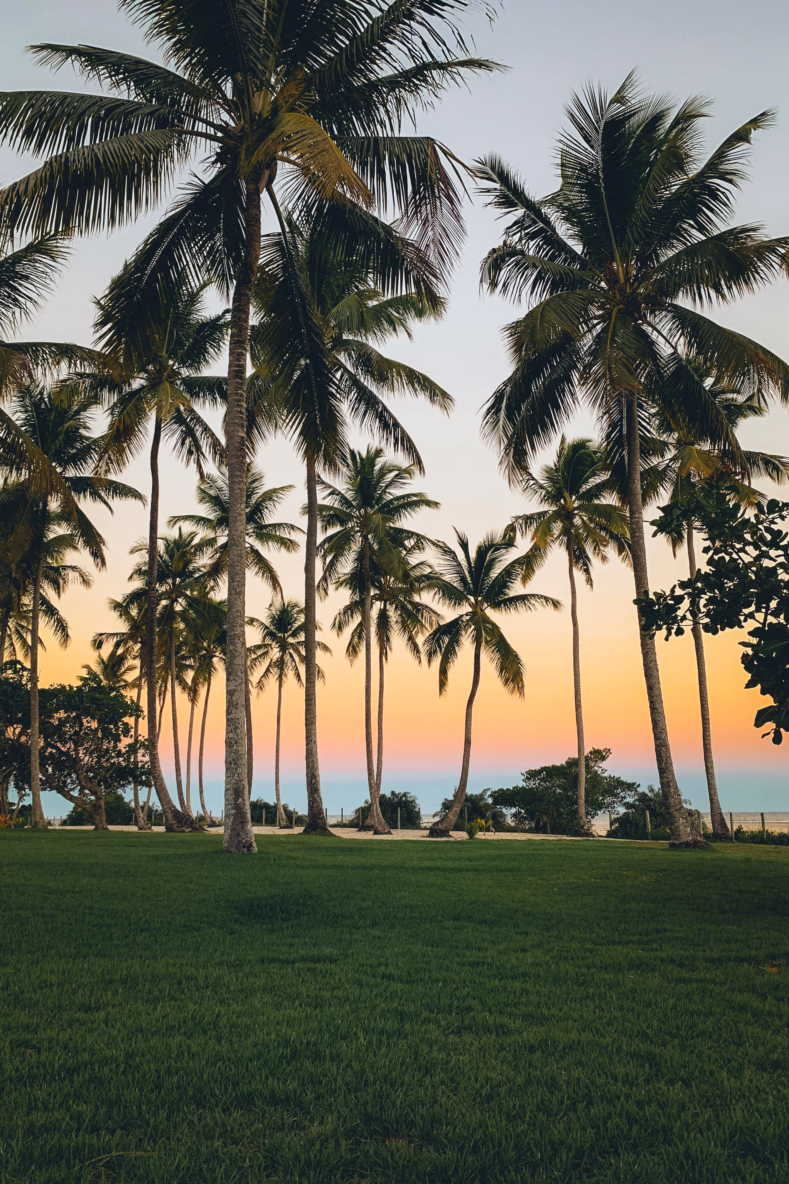 A scenic tropical sunset over a palm-lined shoreline with a lush green lawn. 