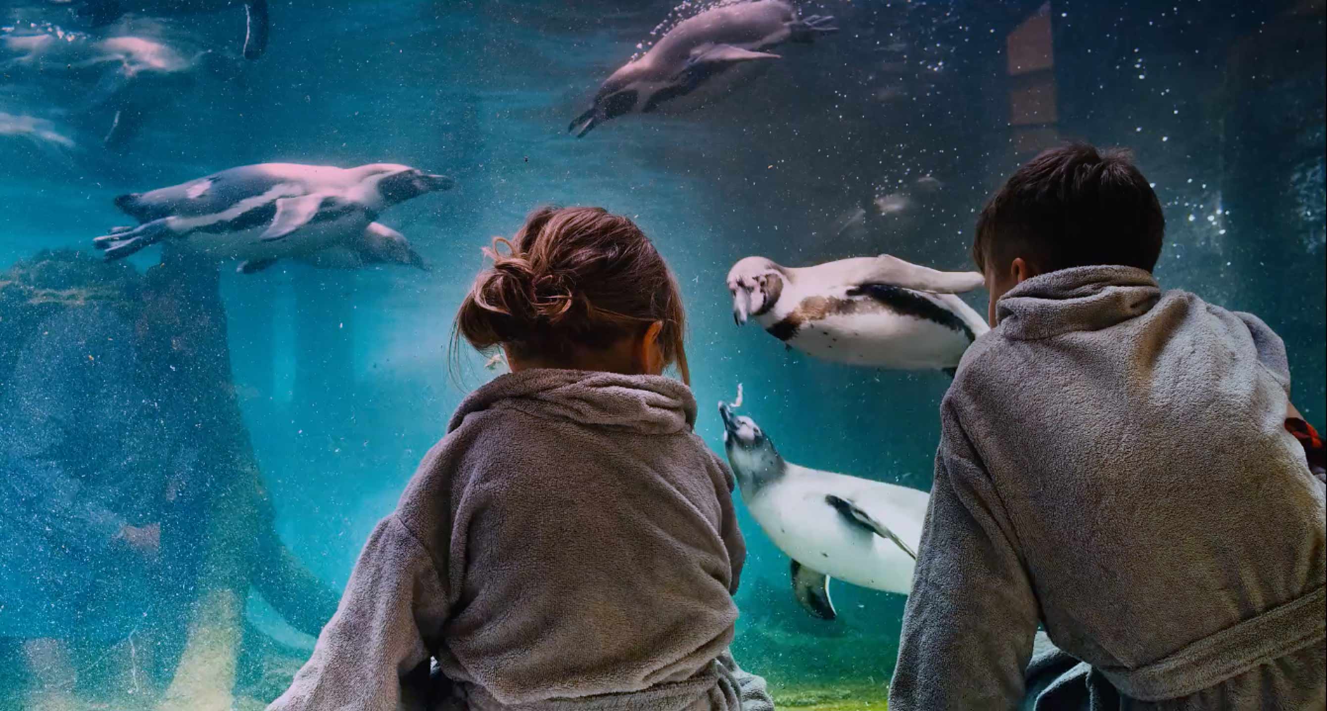 image of community event