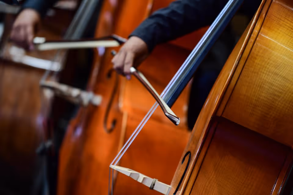 Close ups de alumnos del Conservatorio de Celaya tocando el cello.