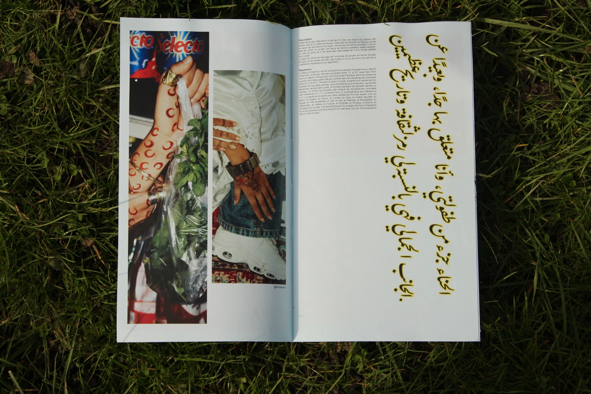 Couverture rouge d'un magazine intitulé 'Automne' avec illustrations de fruits et racines, à côté d'une double page intérieure avec un motif décoratif et un texte en français détaillant des soins corporels.