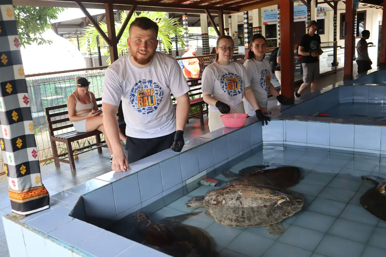 Camp Bali volunteers with turtles at Serangan Turtle Conservation Center