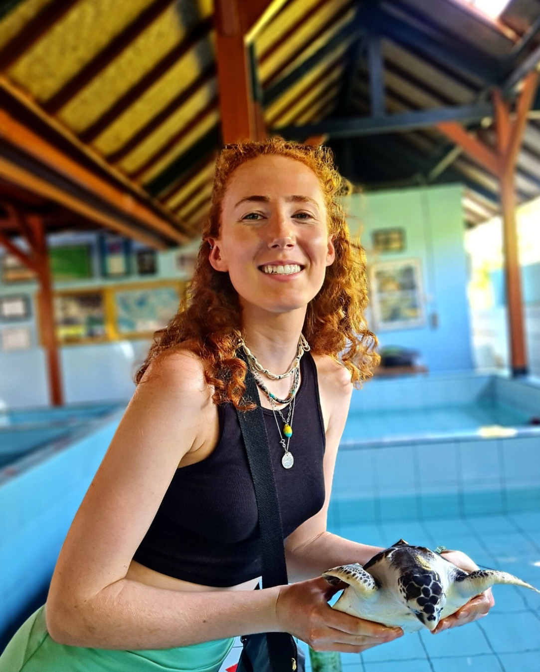 Camp participant holds a turtle at the turtle conservation sanctuary