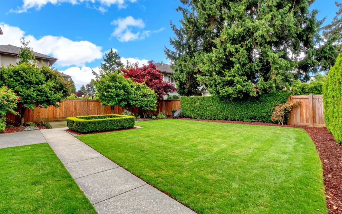 Neatly manicured green lawn bordered by trimmed bushes, tall trees, and a wooden fence under a blue sky with scattered clouds.