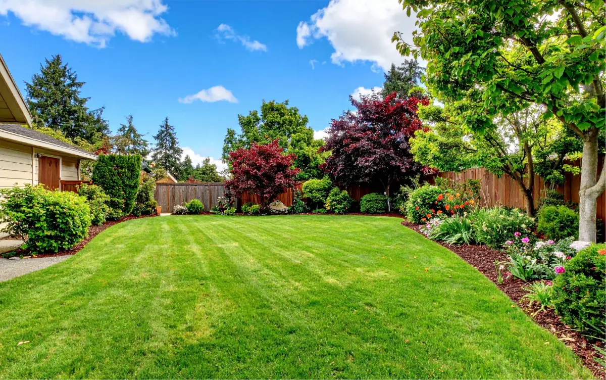Well-maintained green lawn bordered by colorful shrubs and trees under a bright blue sky with white clouds.