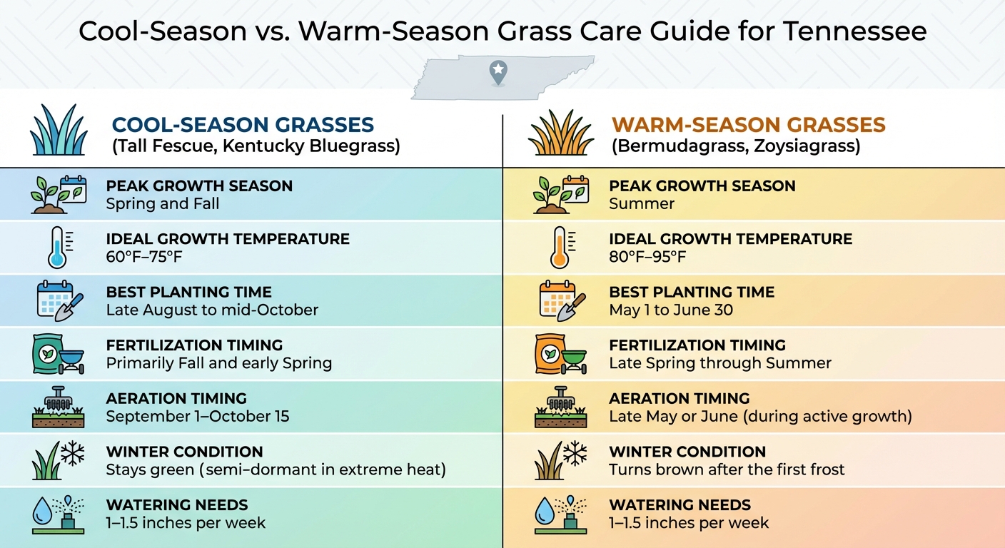 Cool-Season vs Warm-Season Grass Care Guide for Tennessee Lawns