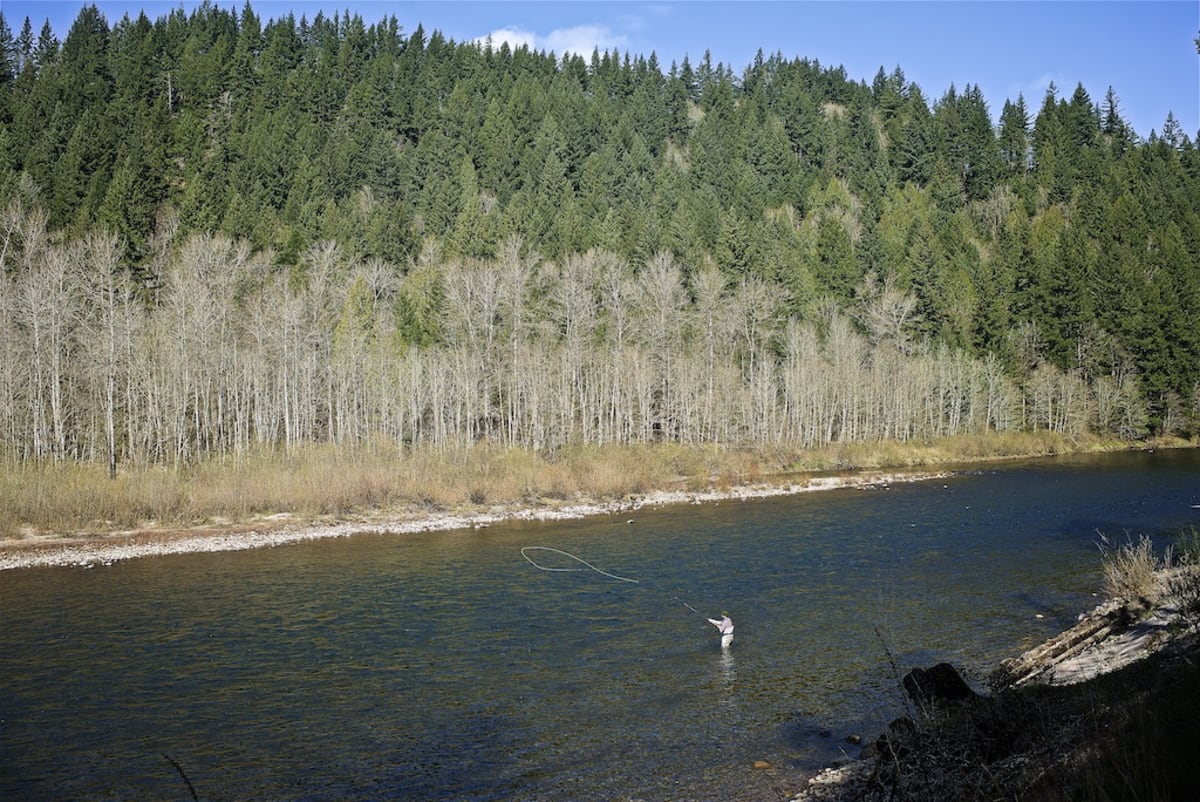 Union Wine Co Fishing