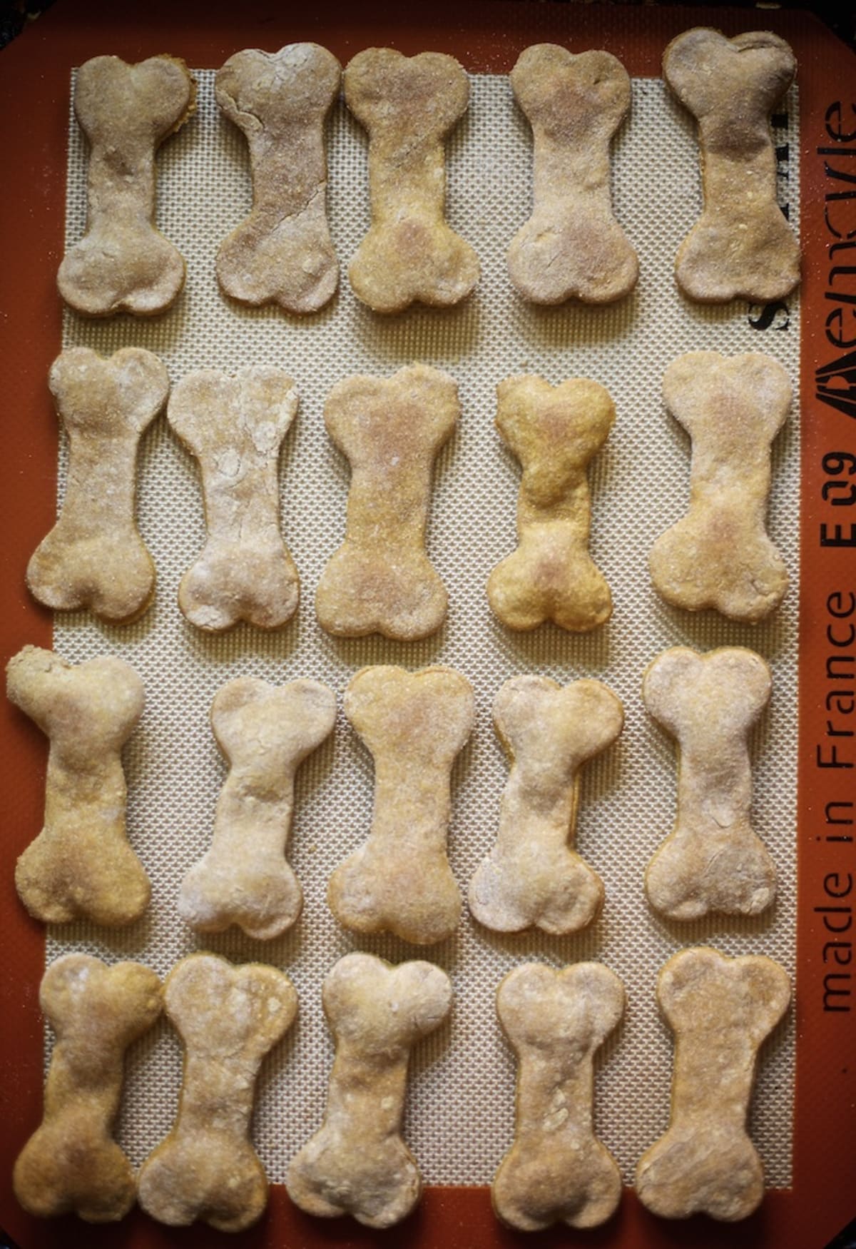 Dog Treats