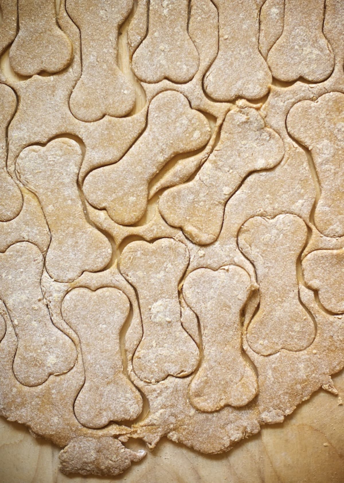 Dog Treats