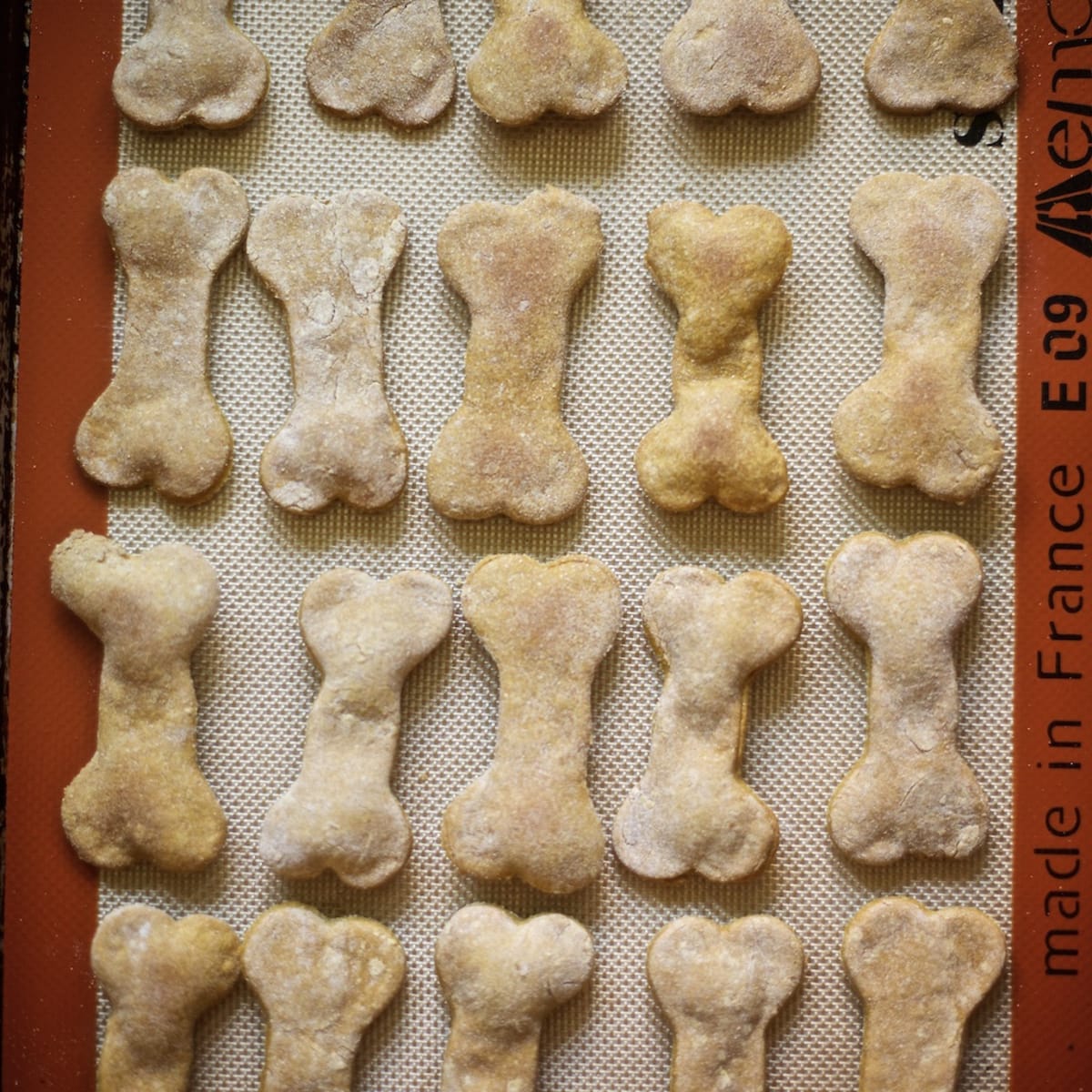 Dog Treats
