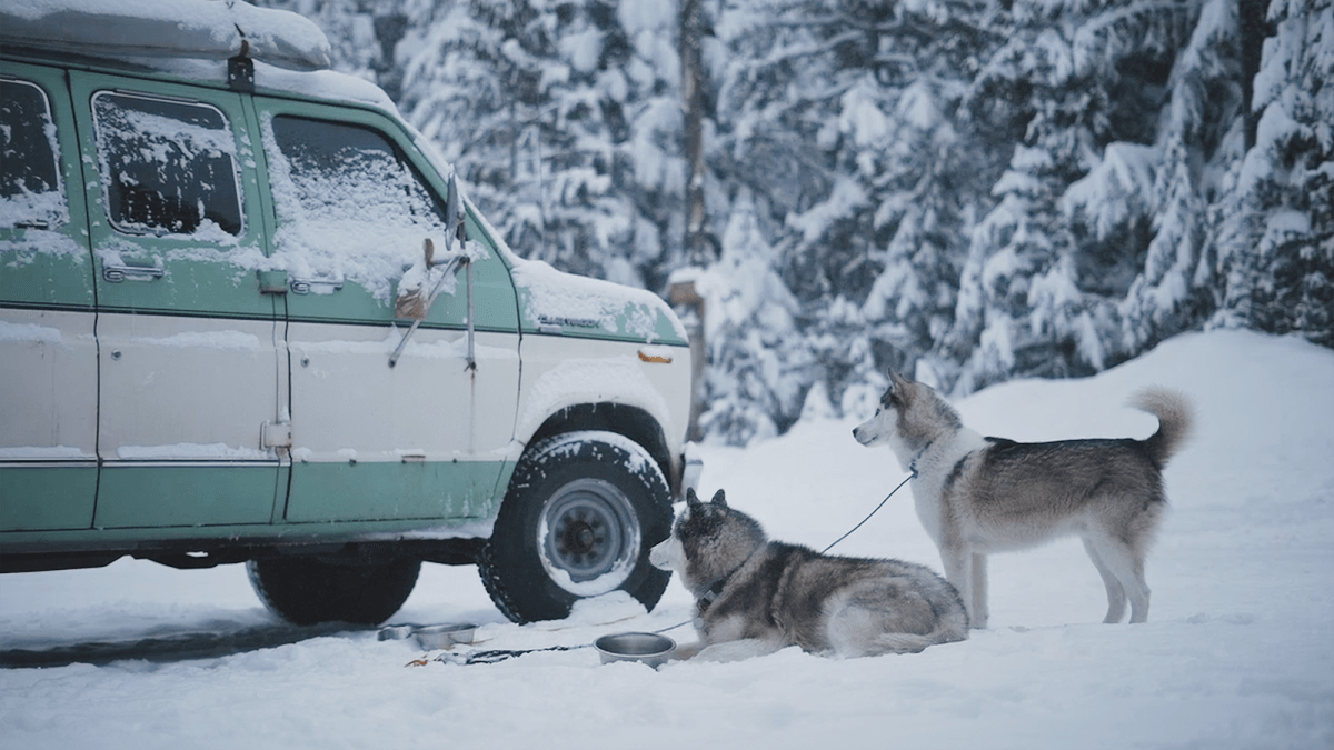 Union Wine Co Backcountry