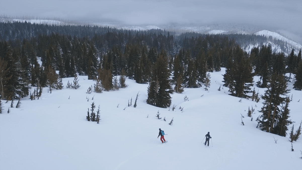 Union Wine Co Backcountry
