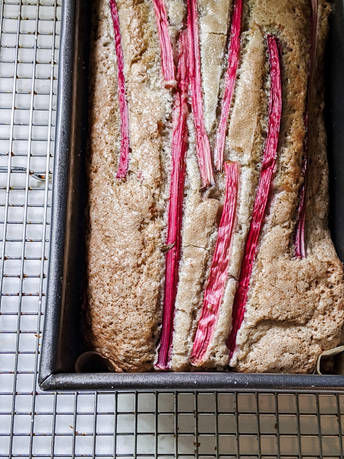 Rhubarb Loaf