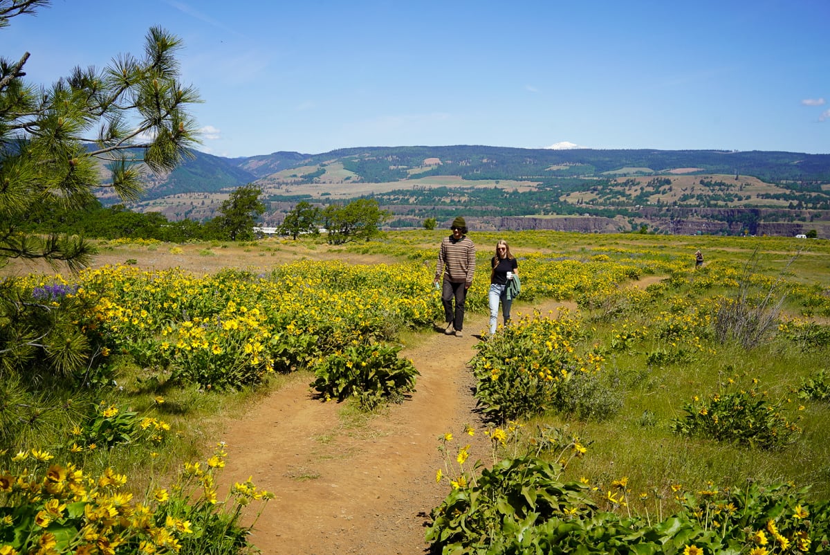 Tom McCall Preserve