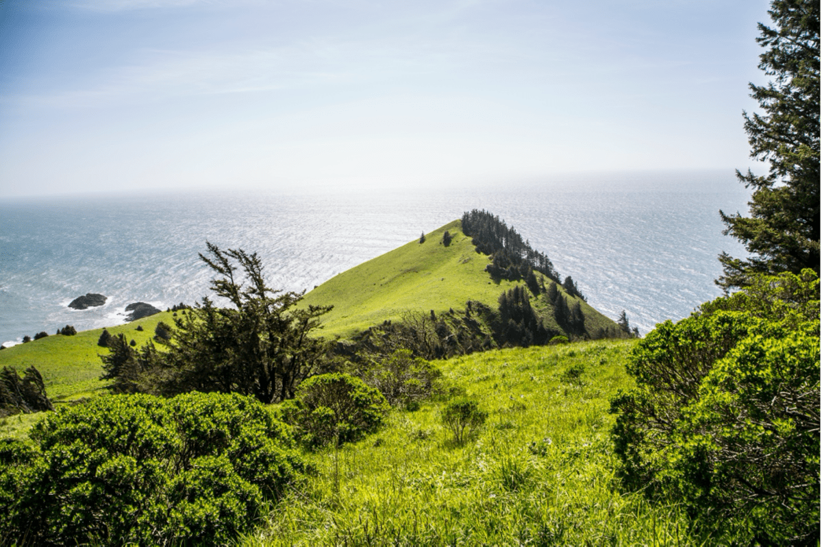 Cascade Head