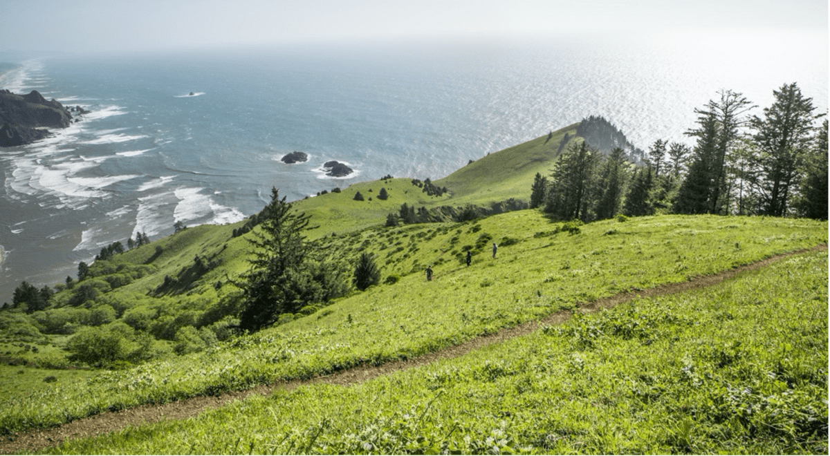 Cascade Head