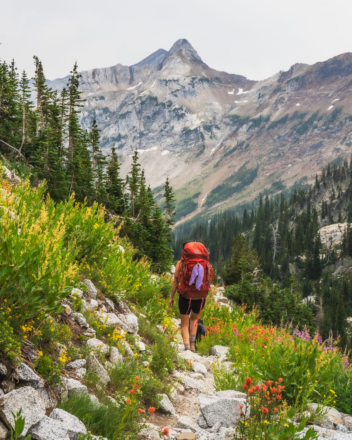 Backpacking Eagle Cap Wilderness