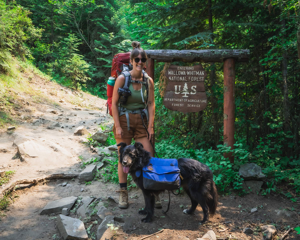 Wallow Whitman National Forest Backpacking