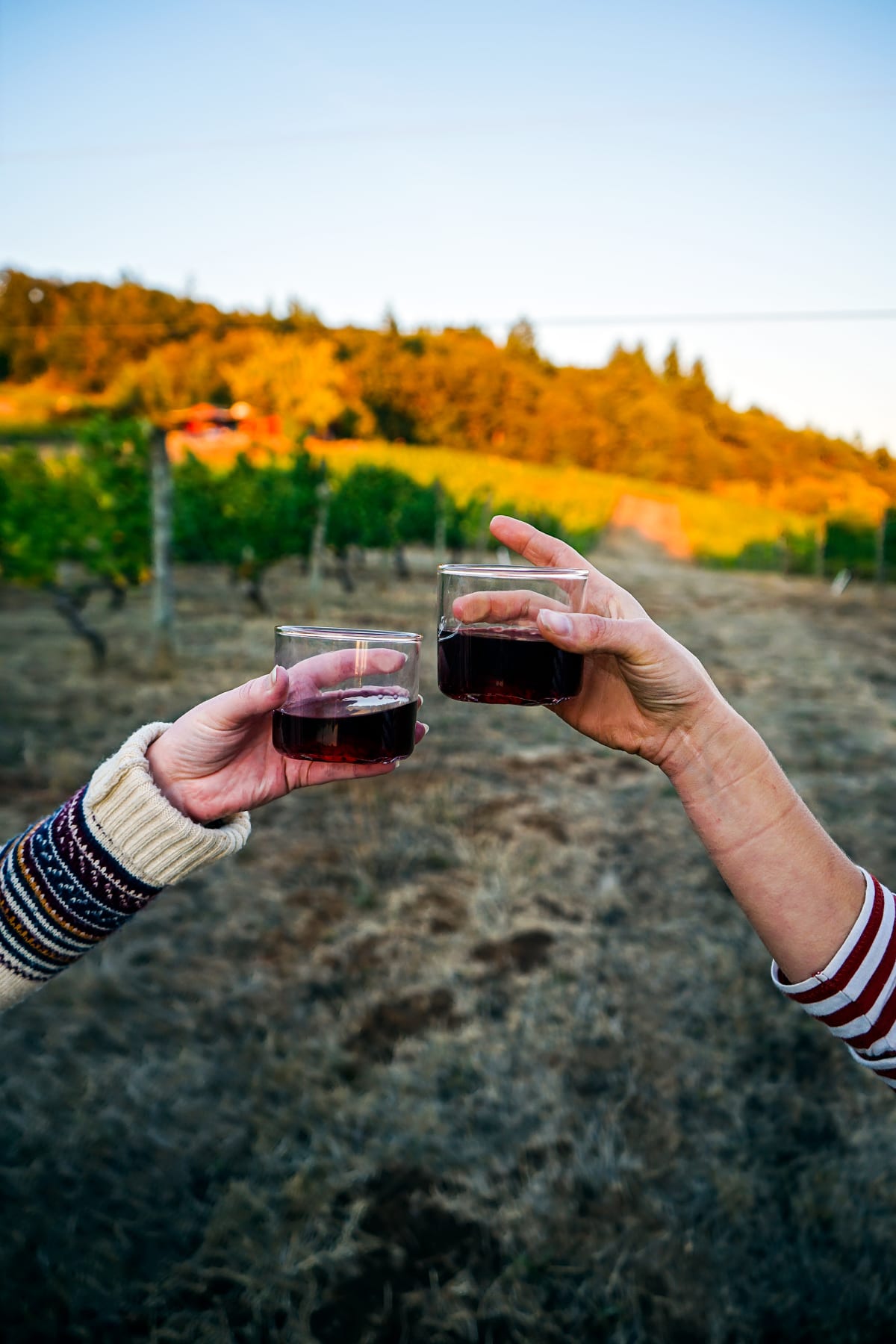 The Union Wine Co Glass by North Drinkware