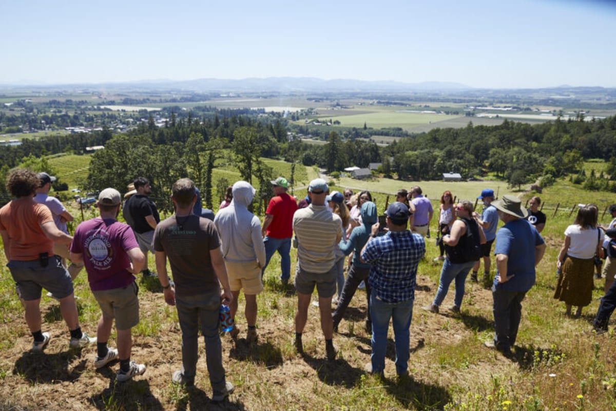 Union Wine Co. announces B Corp certification