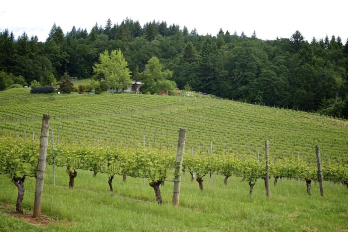 Union Wine Co. 20 years