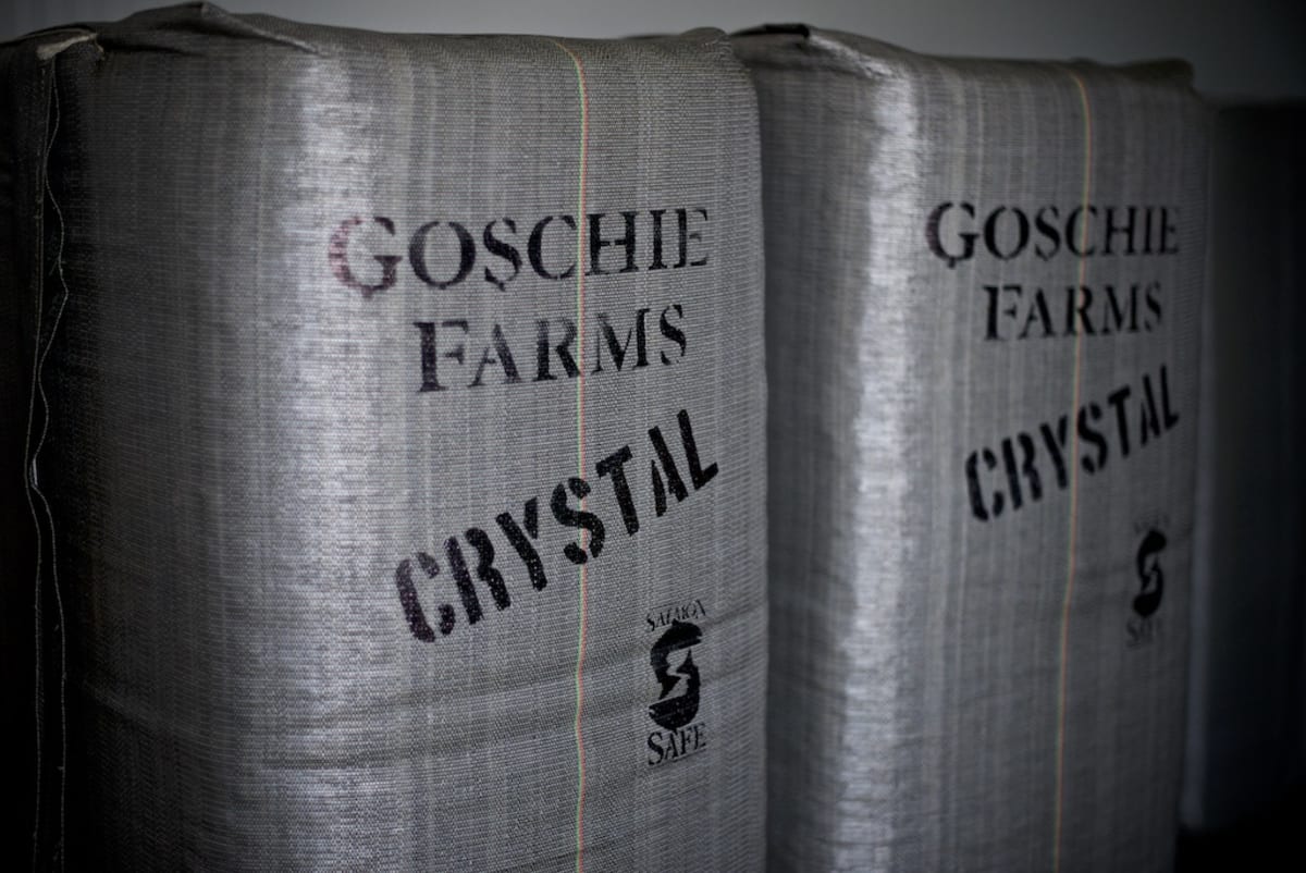 goschie hops