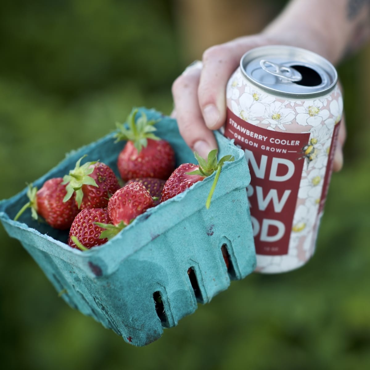 Strawberry Cooler