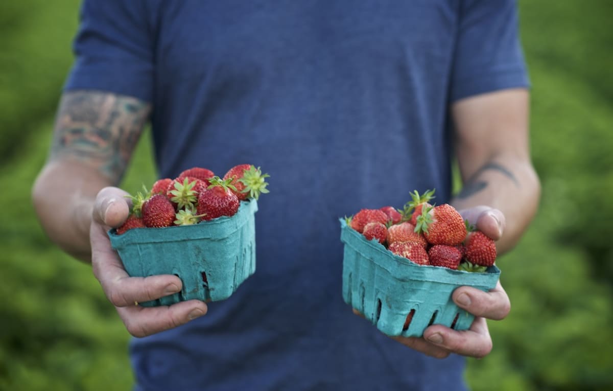 Strawberry Cooler