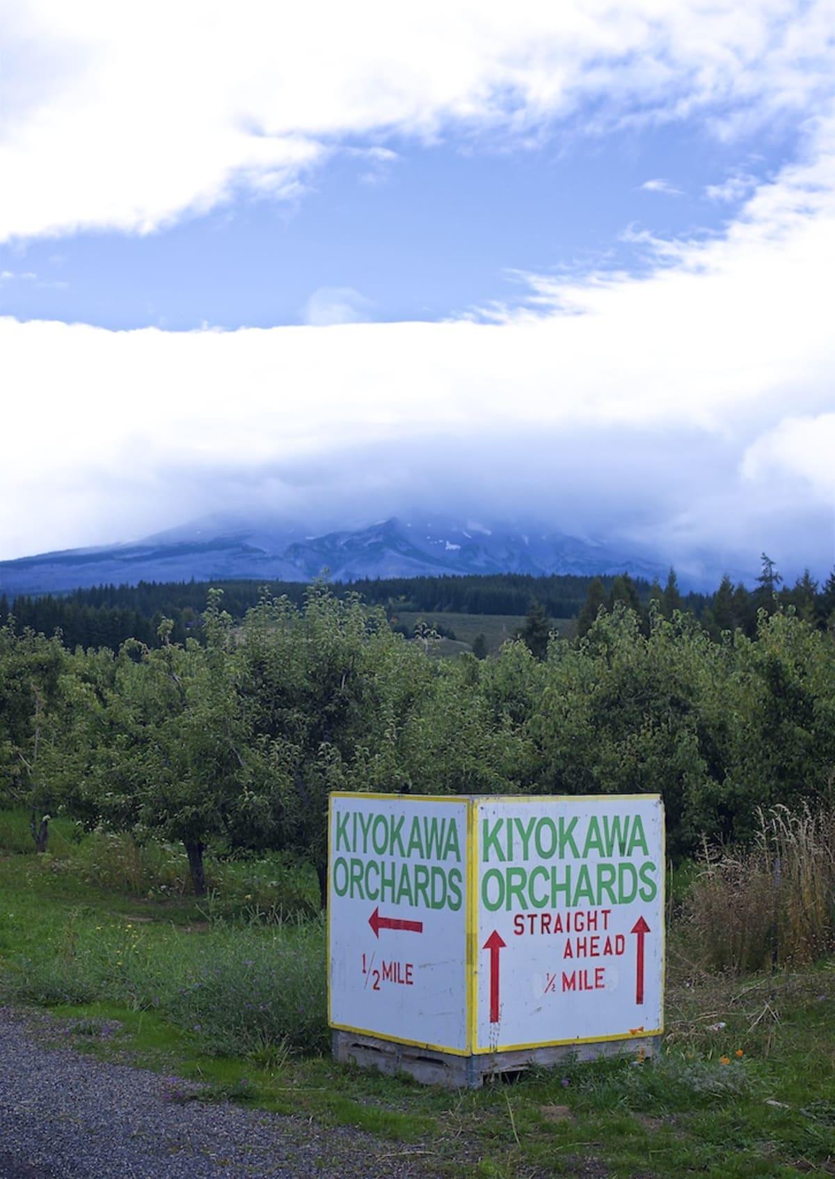Union Wine Co Fruit Loop