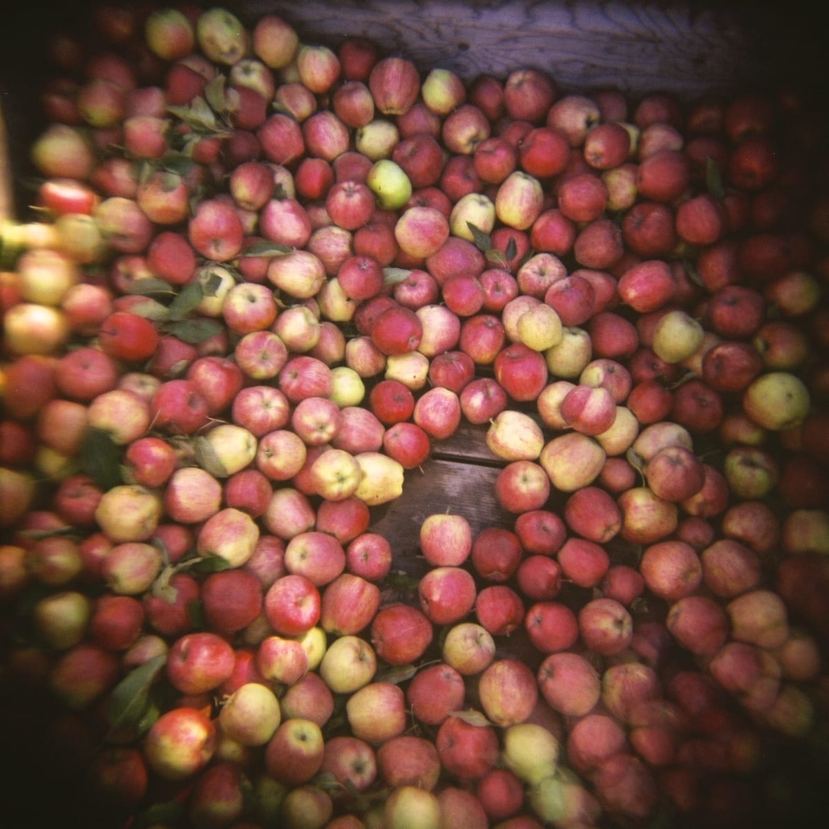 Union Wine Co Fruit Loop