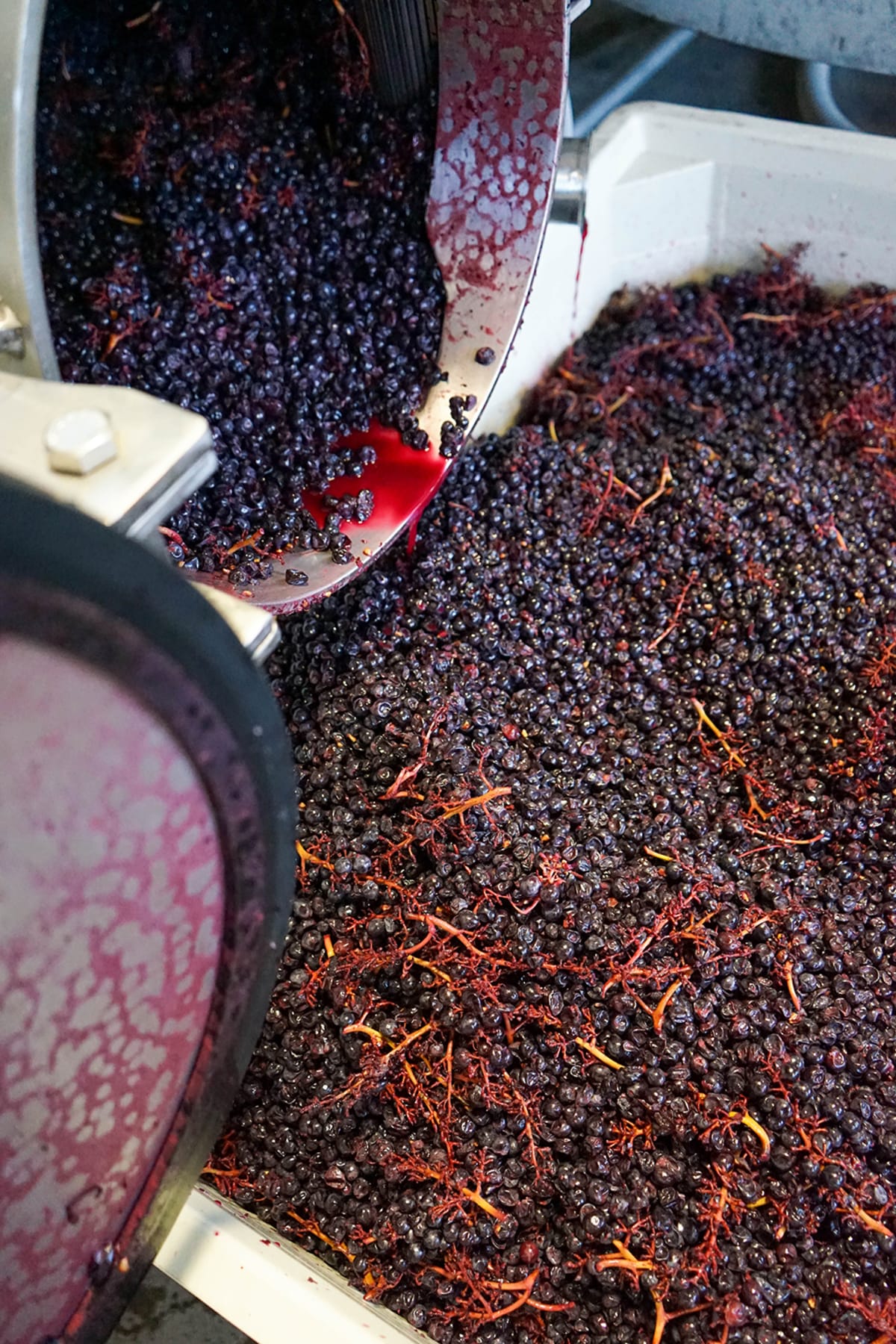 Underwood Nouveau Pinot Noir